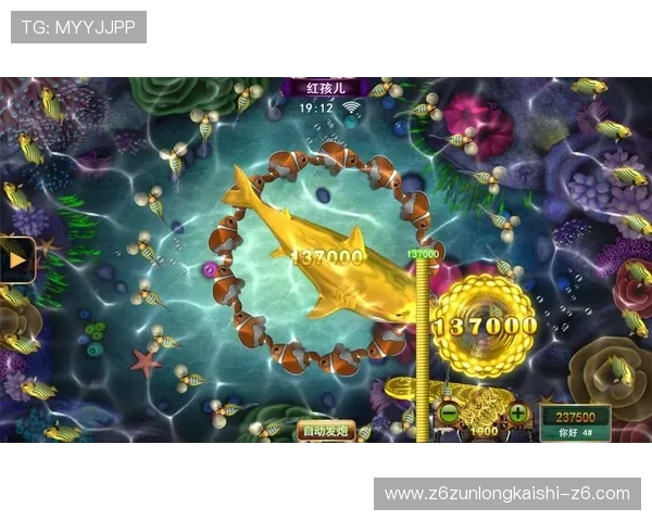 全面介绍Kaiyun开云滚球盘的操作流程与常见盘口类型详解