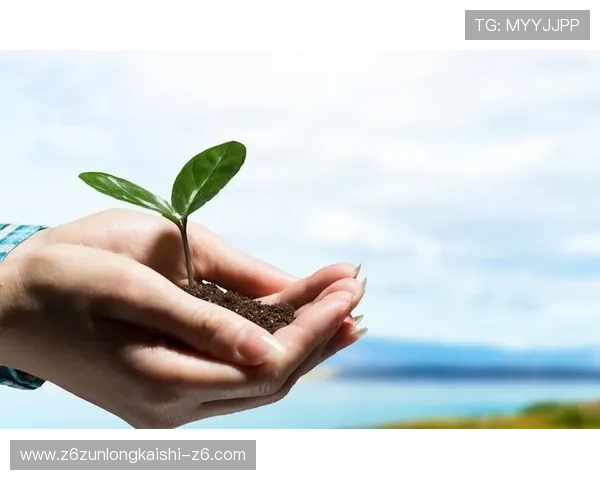 开云体育官方网址账户安全保护措施,保障个人信息安全与交易无忧 开云体育官方网址账户安全保护措施,保障个人信息安全与交易无忧