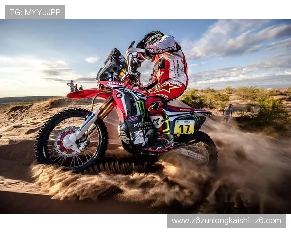 新爱体育国际版不断丰富内容资源，满足不同体育爱好者的个性化观看偏好