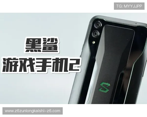 尊龙app官网入口在哪进入，详细步骤指导让新手玩家快速上手游戏