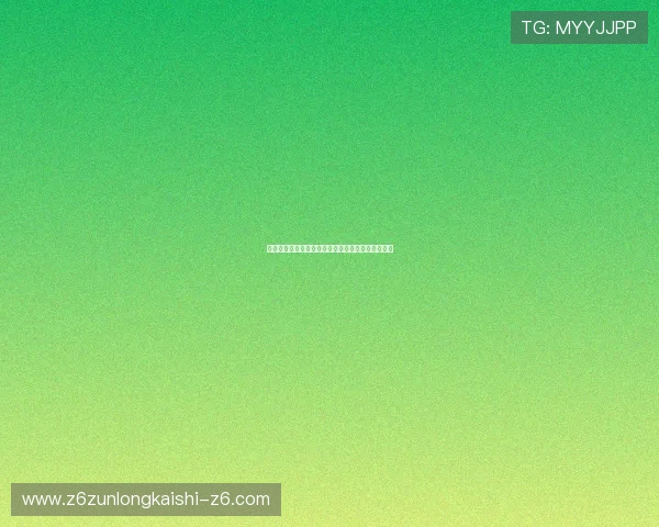 尊龙网站如何优化用户体验提升游戏流畅度与稳定性