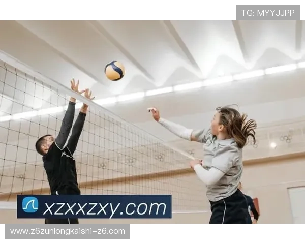 星空体育网页版登录入口：快速登录体验提升技巧